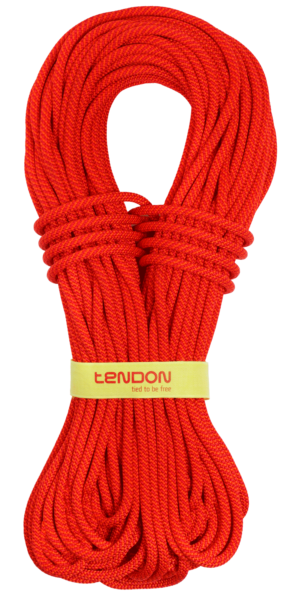 TENDON Master 7.8 TeFIX - naranja